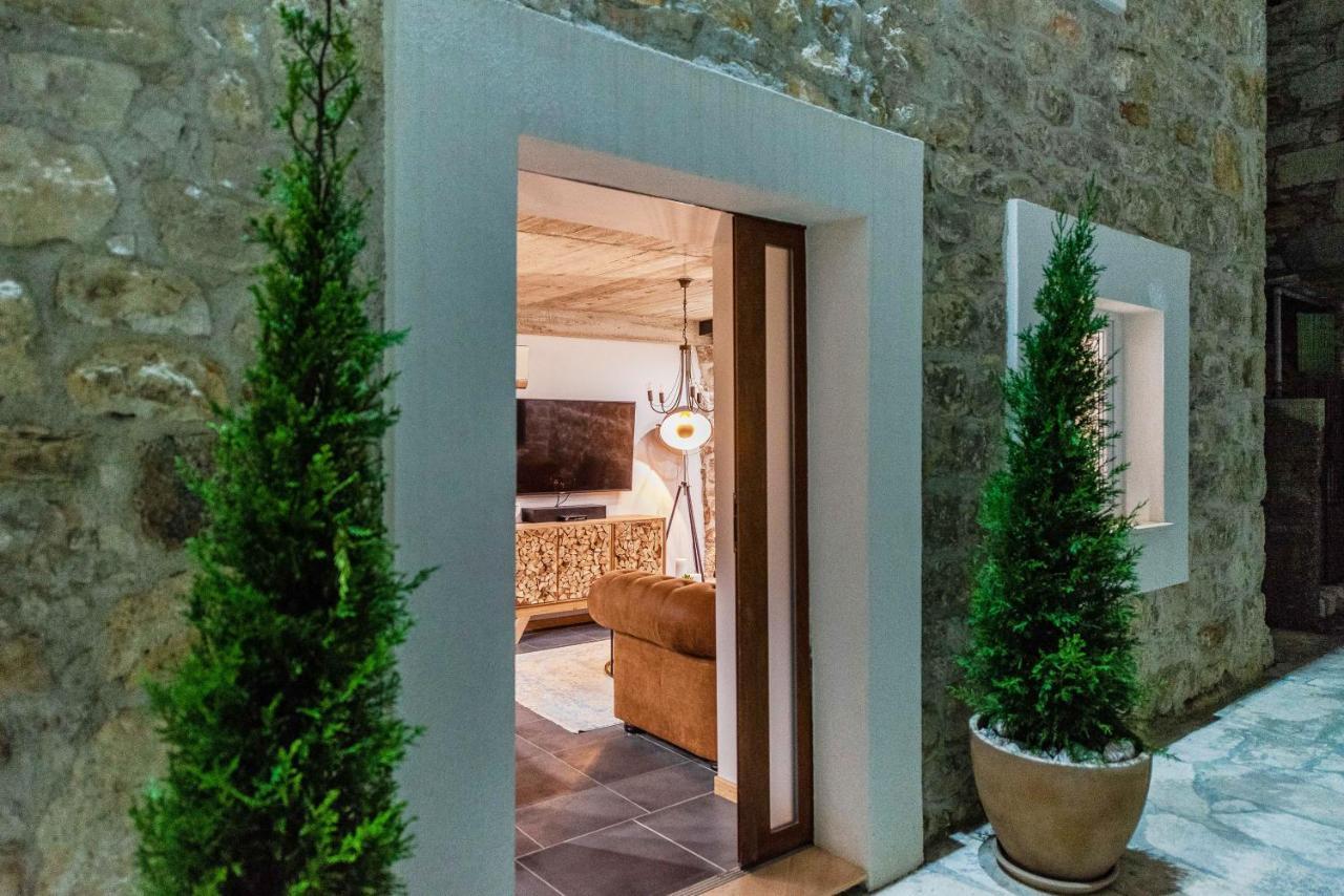 Villa Planita Dalmacija Novigrad  Ngoại thất bức ảnh