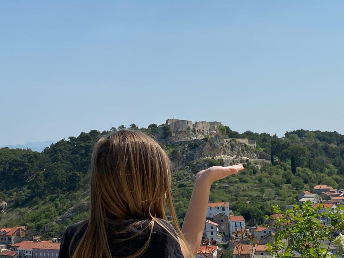 Villa Planita Dalmacija Novigrad  Ngoại thất bức ảnh
